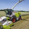 Trince CLAAS Jaguar 980-930 Darin Srl