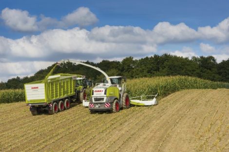 CLAAS Jaguar 980-930 Forage Harvesters - Darin Srl