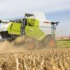 Mietitrebbia Claas TUCANO 570-320 - Darin Srl